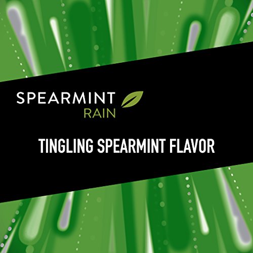 5 Gum Spearmint Rain Sugarfree Gum, Bulk 18 Packs - Freshness That Lasts!