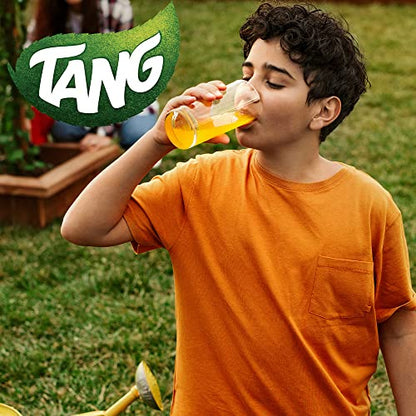 Tang Pineapple Imported Flavored Drink - 2 kg