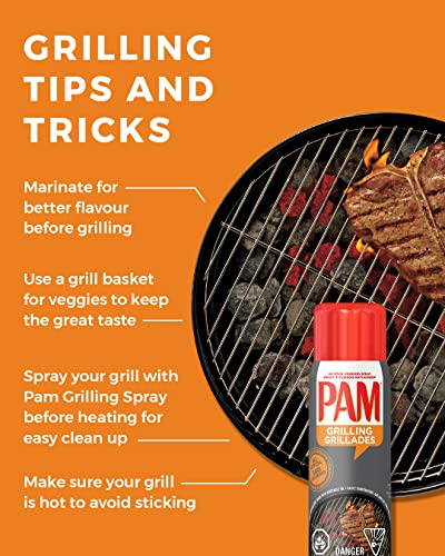 Pam Grilling Grillades No Stick Cooking Spray 141g Grilling made e MAAS Traders