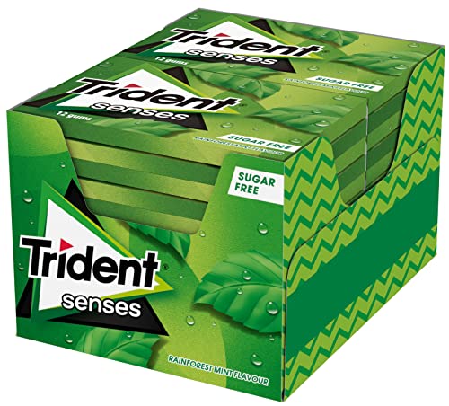 TRIDENT SENSES Rainforest Mint Box (12 PCS X 23G), 276g