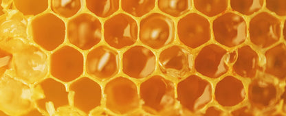 Langnese Pure 100% Acacia Honey with Natural Honeycomb 500 g - "Acacia Honeycomb Delight!"