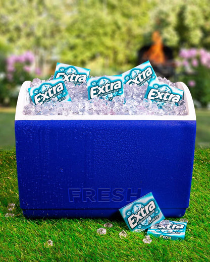 Wrigley's Extra Long Lasting Flavour Polar Ice - Box of 10, 400g - Stay Refreshed!