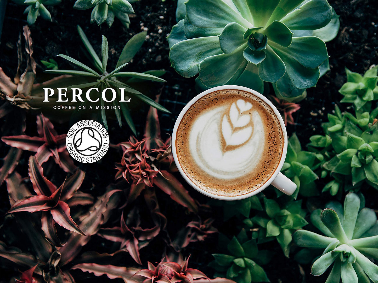 Percol Smooth Colombian Instant Coffee 100g (100% Arabica, Fairtrade Certified) - "Smooth Colombian coffee!"