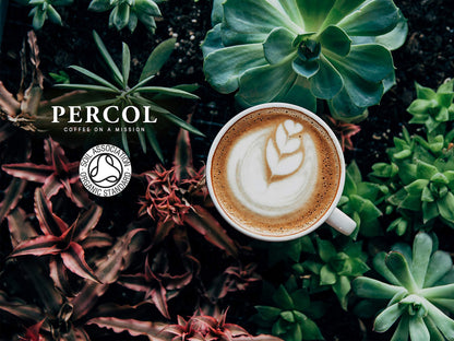 Percol Rich Americano Full Bodied Instant Coffee 100g (100% Arabica, Fairtrade Certified) - "Full-bodied Americano!"