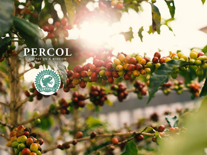 Percol Smooth Colombian Instant Coffee 100g (100% Arabica, Fairtrade Certified) - "Smooth Colombian coffee!"