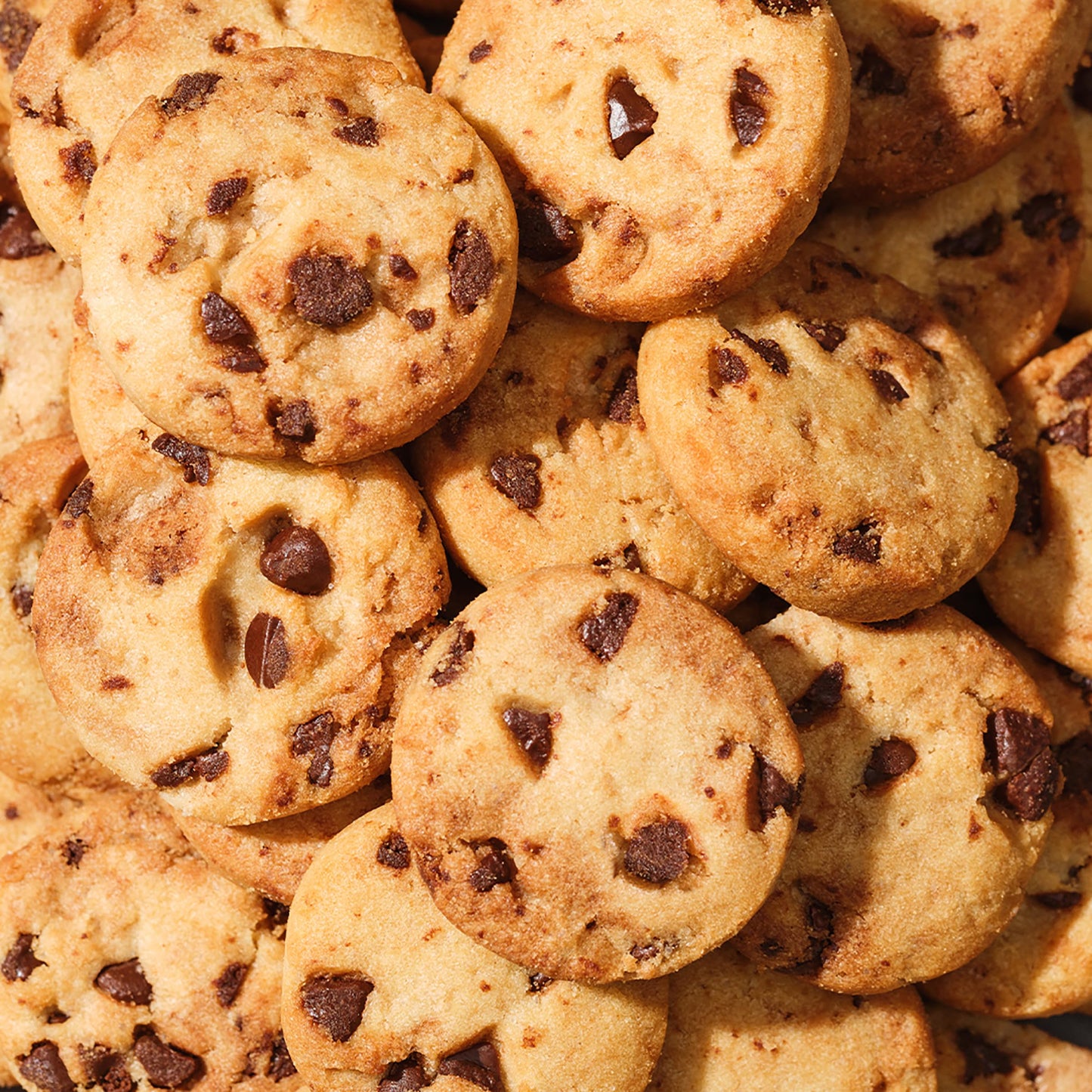 Nabisco Snack Sak Mini Chips Ahoy, 226g - "Mini Chips Ahoy Joy!"