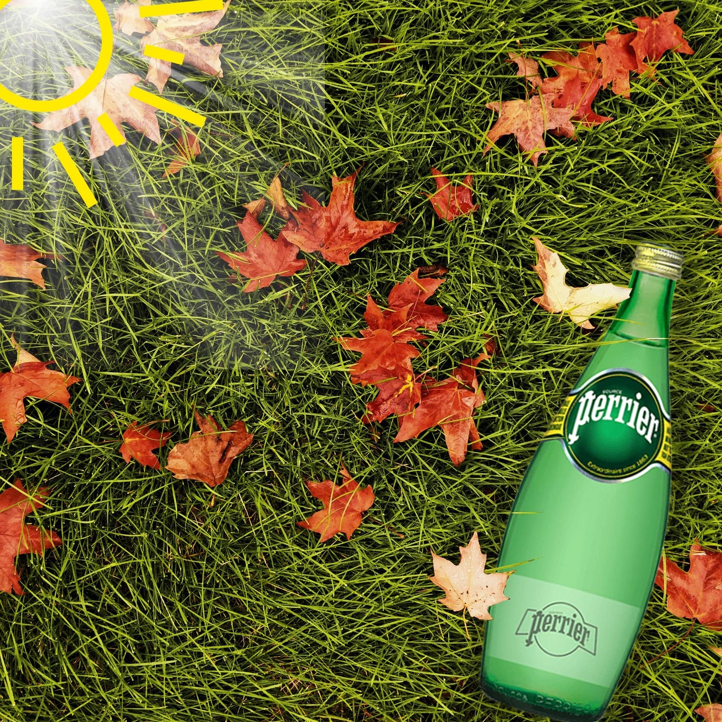 Perrier Sparkling Natural Mineral Water • Water Captured at the Source in France, 25.36 fl oz ℮ 750 ml, 6 Pack - "Natural mineral refreshment!"